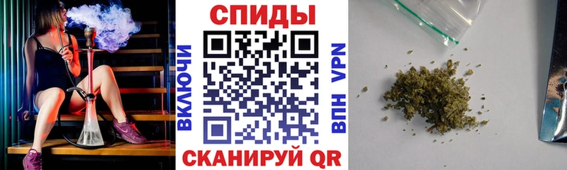 Бутират буратино  Купить где  Людиново 