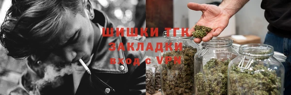 спайс Инта