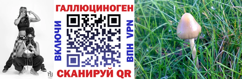 Галлюциногенные грибы ЛСД  Купить где  Людиново 