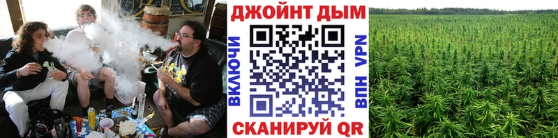 Купить  Людиново  Каннабис Amnesia 
